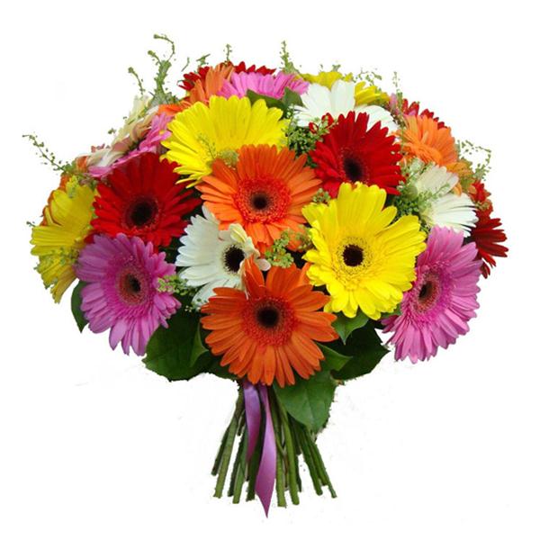 25 Karışık Renk Gerbera Buketi