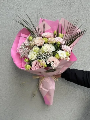 Pembe Beyaz Asaleti